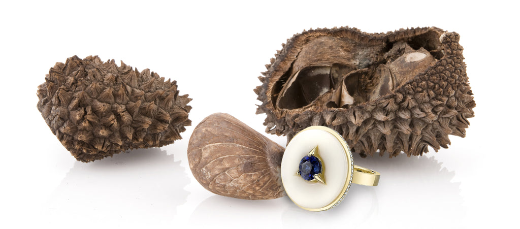 Palm Ivory Seed Jewelry | Irthly